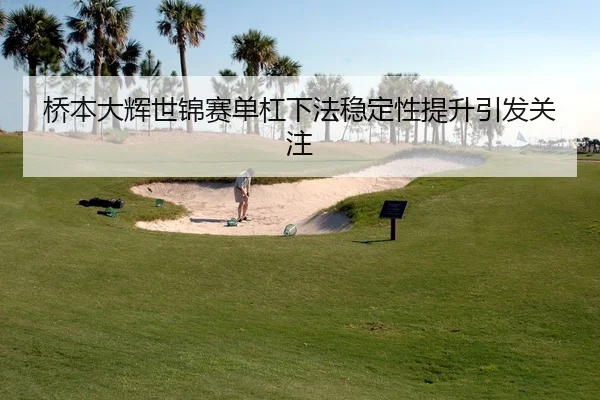 桥本大辉世锦赛单杠下法稳定性提升引发关注